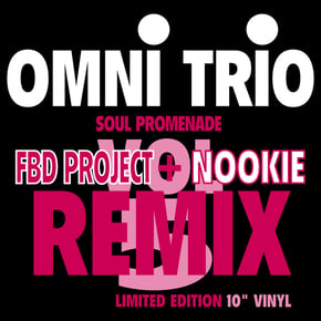 Living for the Future (FBD Project Remix) / Soul Promenade (Nookie Remix) by Omni Trio Cover Art