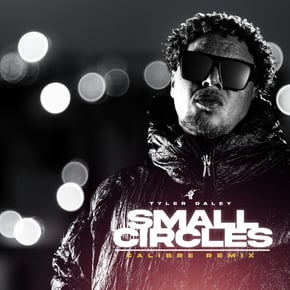 Small Circles (Calibre Remix) by Calibre Cover Art