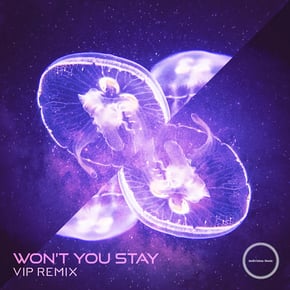 Won't You Stay (VIP Remix) by Indivision Cover Art