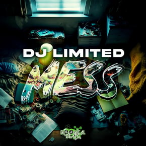 Mess by DJ Limited Cover Art