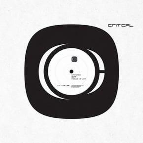 Field Of Joy / Stormtrooper by S.P.Y Cover Art