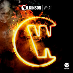 What by Sub Focus & Wilkinson Cover Art