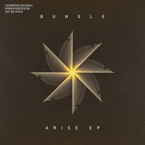 Arise EP by Bungle Cover Art