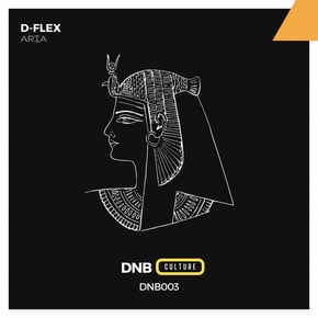 Aria by D-Flex Cover Art