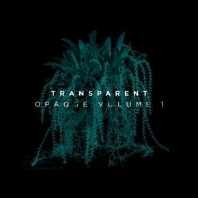 Opaque, Vol. 1 by Transparent Cover Art