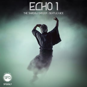 The Shadow Dancer by Echo 1 Cover Art