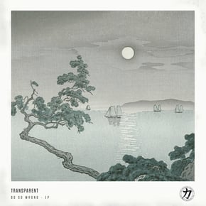 Do So Wrong by Transparent Cover Art