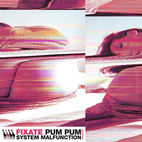 Pum Pum / System Malfunction by Fixate Cover Art