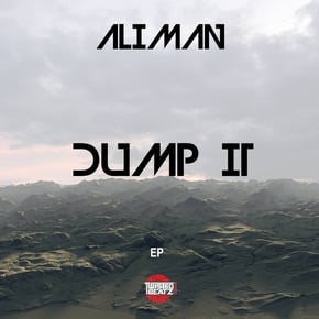Dump It by Aliman Cover Art