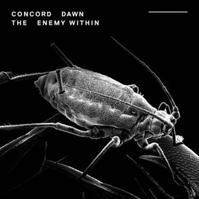 The Enemy Within by Concord Dawn Cover Art
