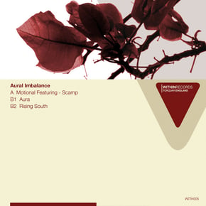 Motional by Aural Imbalance Cover Art