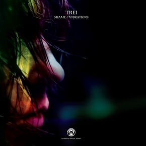 Shame / Vibrations by TREi & Jungle Fever Cover Art