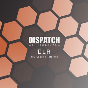 You Leave / Intermix by DLR Cover Art