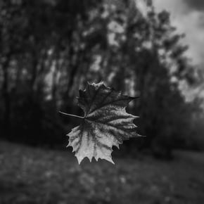 Ambient, Vol. 1 by Natus Cover Art