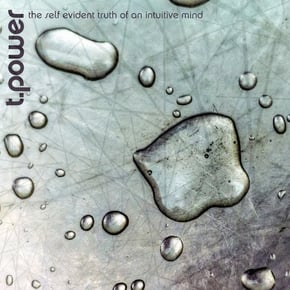 The Self Evident Truth Of An Intuitive Mind by T. Power Cover Art