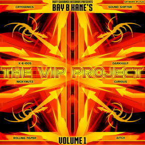 The VIP Project Vol. 1 by Bay B Kane Cover Art