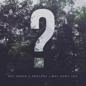 Why Don't You - EP by RoyGreen & Protone Cover Art