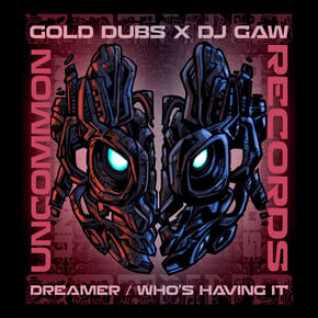 Dreamer / Who's Having it by DJ Gaw Cover Art