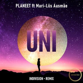 Uni (Indivision Remix) by Indivision Cover Art