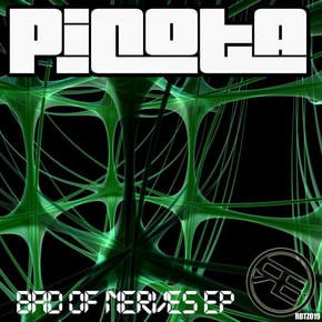 Bad Of Nerves by Picota Cover Art