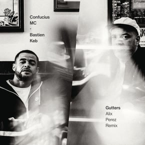 Gutters (Alix Perez Remix) by Alix Perez Cover Art