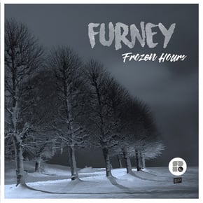 Frozen Hours by Furney Cover Art