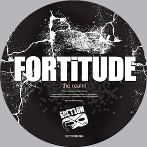 The Realm by Fortitude Cover Art