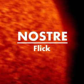 Flick by Nostre Cover Art