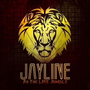 Do You Like Jungle LP by Jayline Cover Art