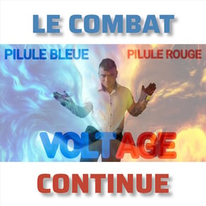 Le Combat Continue by Voltage Cover Art