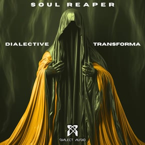 Soul Reaper by Dialective Cover Art