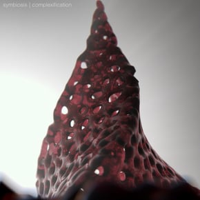 Symbiosis / Complexification by T. Power Cover Art