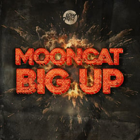 Big Up by Mooncat Cover Art