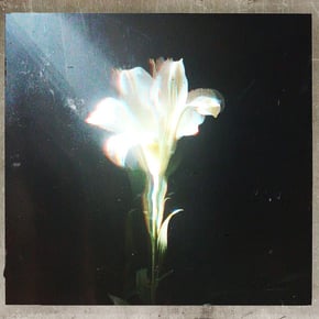Light That Leads Me (with Bebe Rexha) by Netsky Cover Art