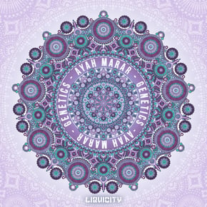 Take Me Back by Genetics Cover Art