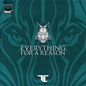 Everything For A Reason by DJ Fresh & TC Cover Art
