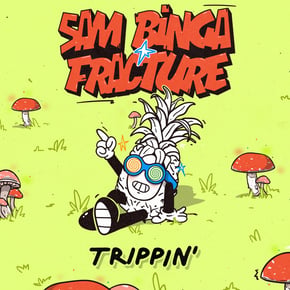 Trippin' by Fracture Cover Art