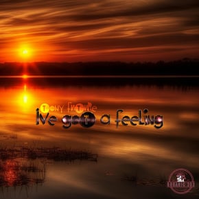 I got a feeling by Tony Future Cover Art