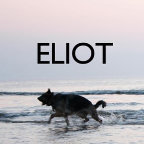 Eliot by Lupo Cover Art