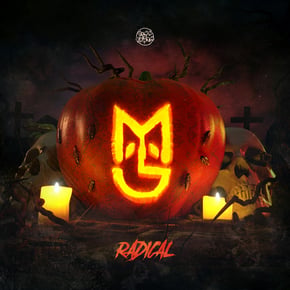 Radical by Macky Gee Cover Art