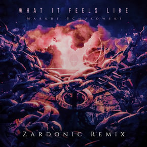 What It Feels Like (Zardonic Remix) by Zardonic & Markus Schukowski Cover Art