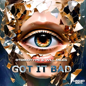 Got It Bad by Stereotype & Will Miles Cover Art
