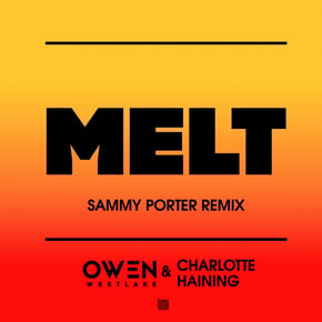 Melt (Sammy Porter Remix) by Charlotte Haining Cover Art