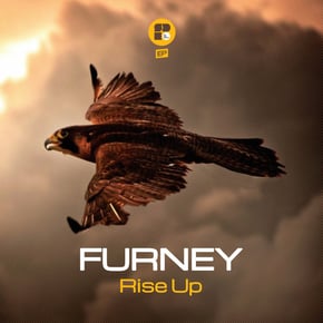 Rise Up by Furney Cover Art