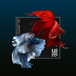 SSXUB by Terminus, Shapeshifter & The Upbeats Cover Art