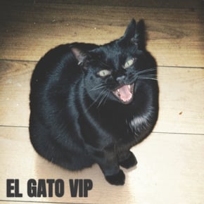 El Gato (VIP) by Selecta J-Man Cover Art