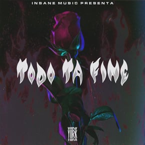 Todo Ta Fine by York Cover Art