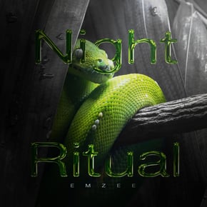 Night Ritual by EmZee Cover Art