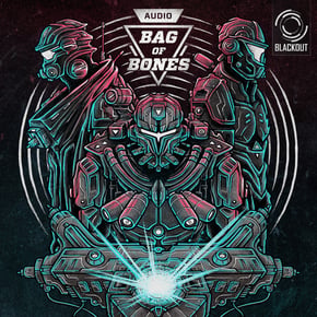 Bag of Bones by Screamarts & Audio Cover Art