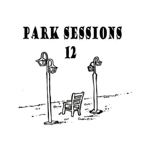 Park Sessions 12 by MSDOS Cover Art